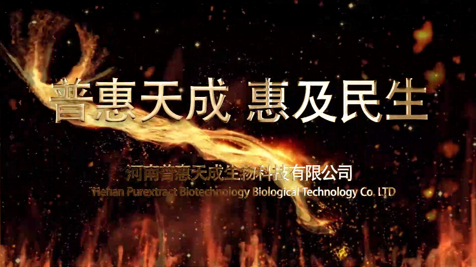 9999js��ɳ��Ʒ��(�й�)���޹�˾���