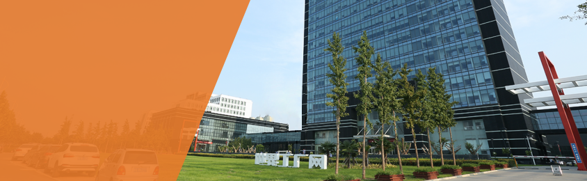 9999js��ɳ��Ʒ��(�й�)���޹�˾