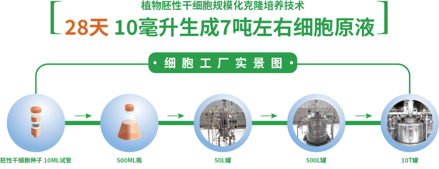 10毫升7吨.png