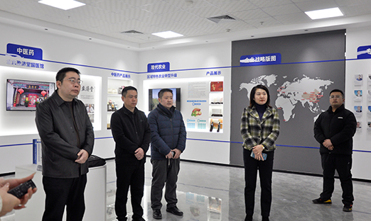 黄三角国度农高区滨海创智产业发展公司辅导到访1xBET集团