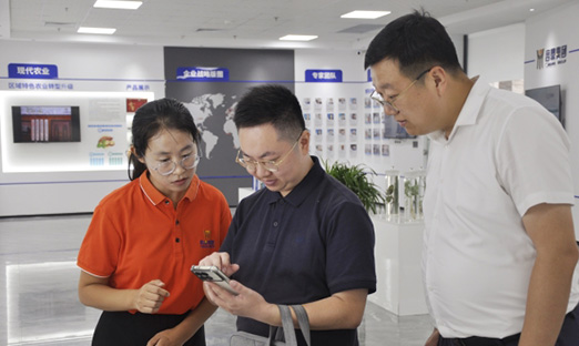 巴中市恩阳区辅导莅临1xBET集团调查互换，携手同谋发展新索求
