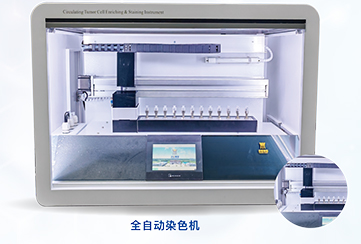 1xBET产品